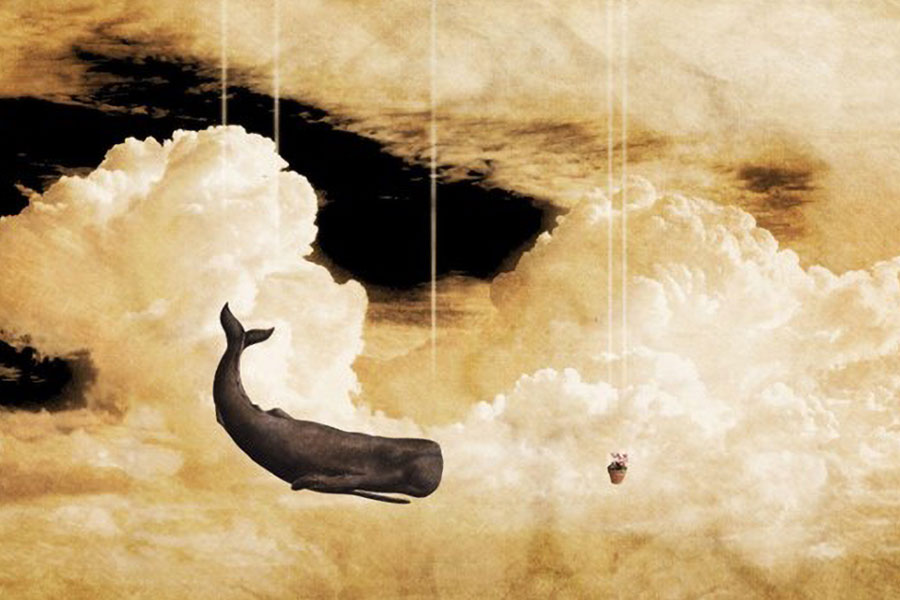 picture of a whale and a vase hanging by a thread in the sky