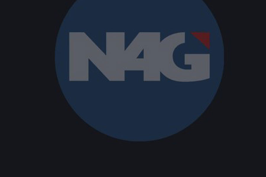 The Official Logo of N4G, One of the best websites for gamers.