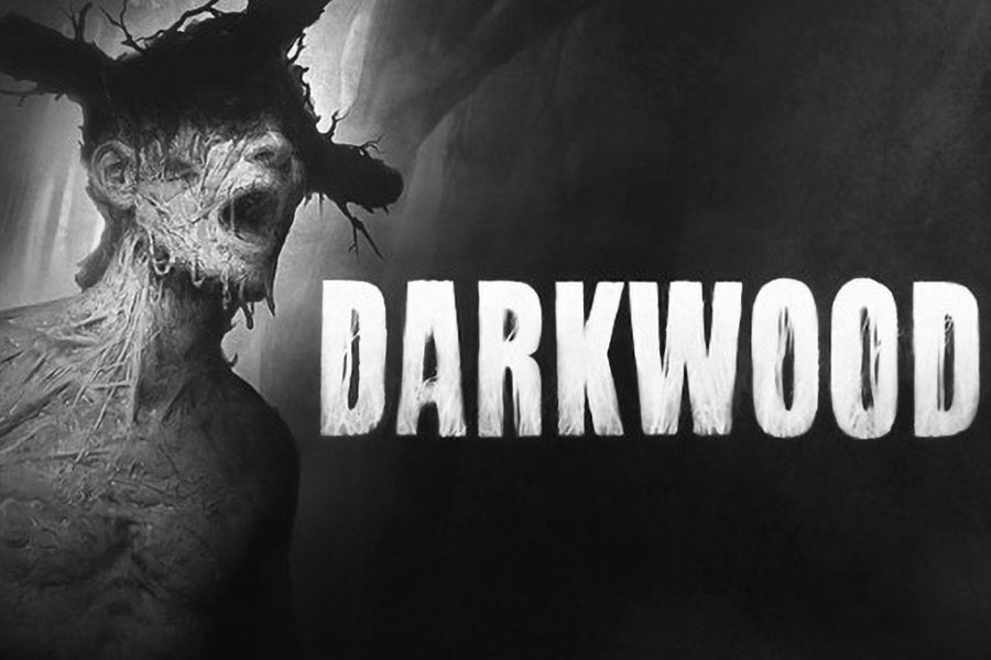 The Official Picture of  Darkwood, One of horror games with multiple endings.