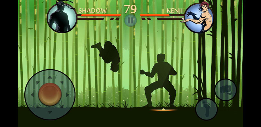 In game picture of Shadow Fight 2, One of best android games for airplane mode.