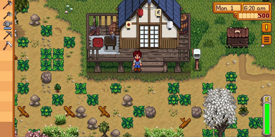 In game picture of Stardew Valley, One of best android games for airplane mode.