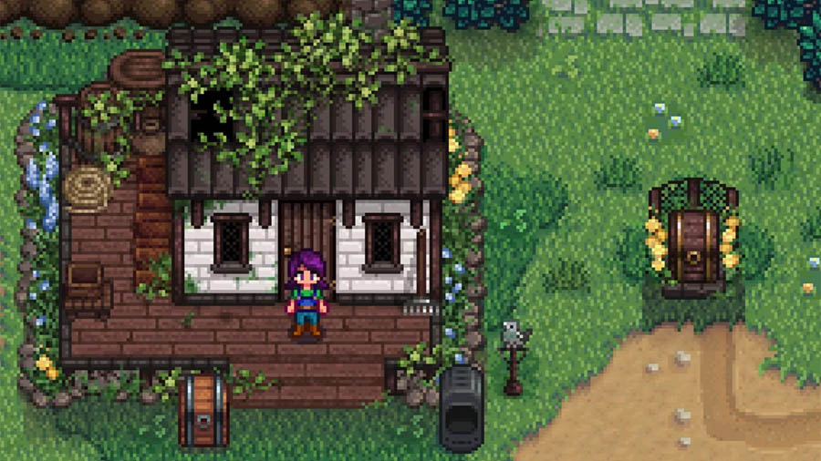 A picture of Stardew Valley, one of the best Dating Apps for gamers.