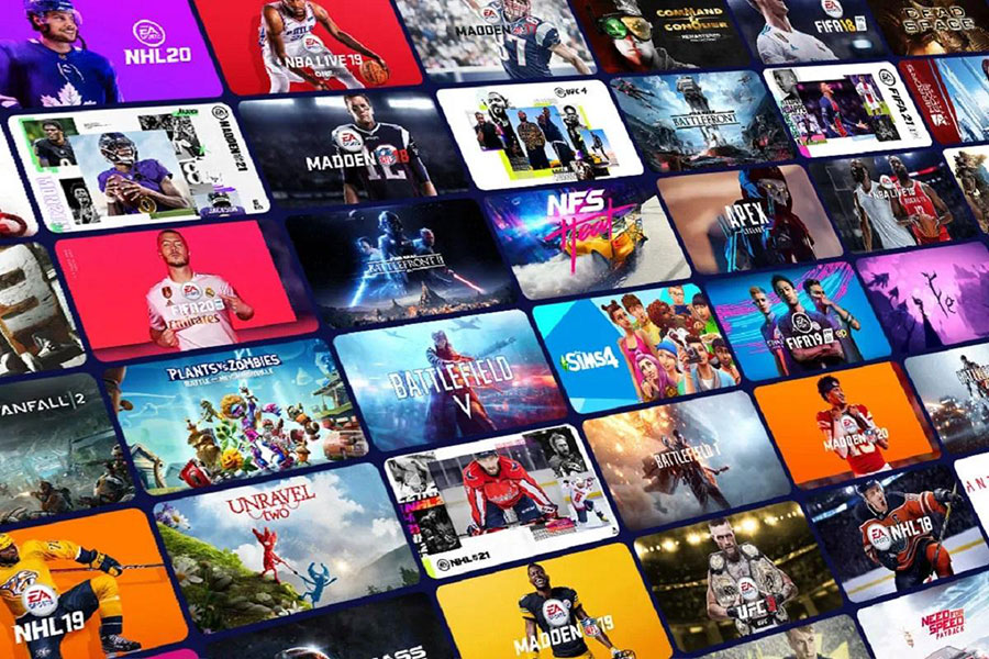 Picture of Streaming Service Subscription with its titles, a birthday gift for video gamer.