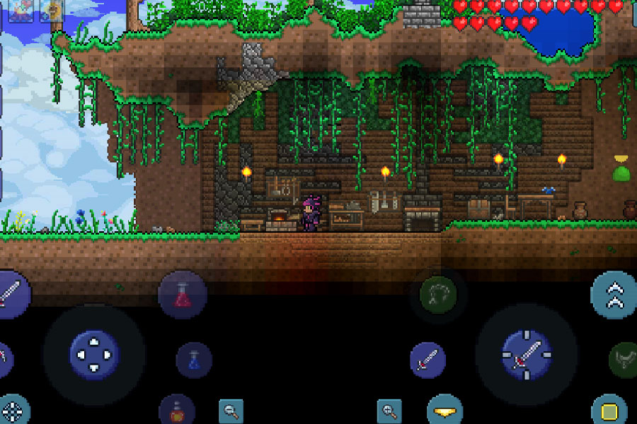 In game picture of Terraria, a Sandbox game, One of most popular genres of video games.