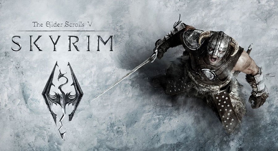 Skyrim character poster.