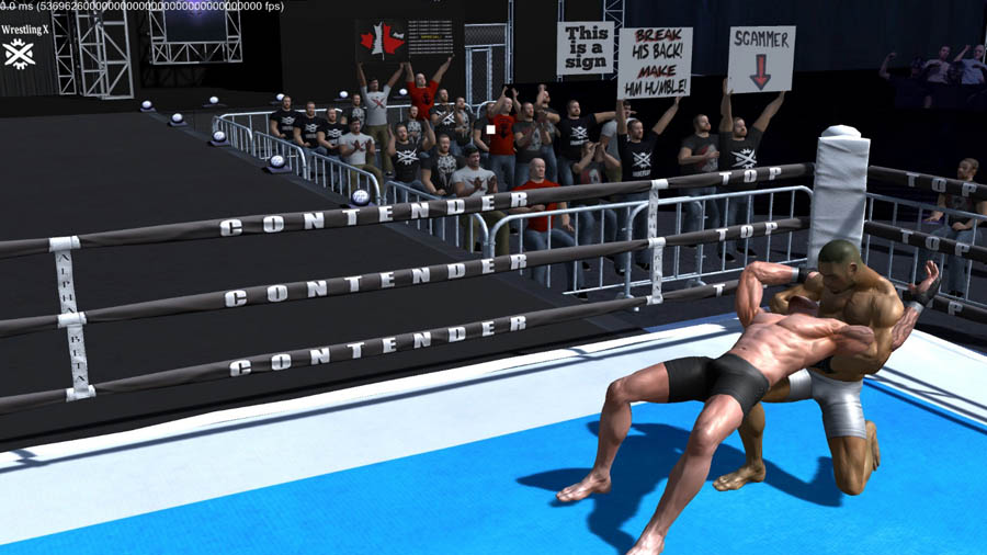 A photo of the game, featuring two characters wrestling in the ring.