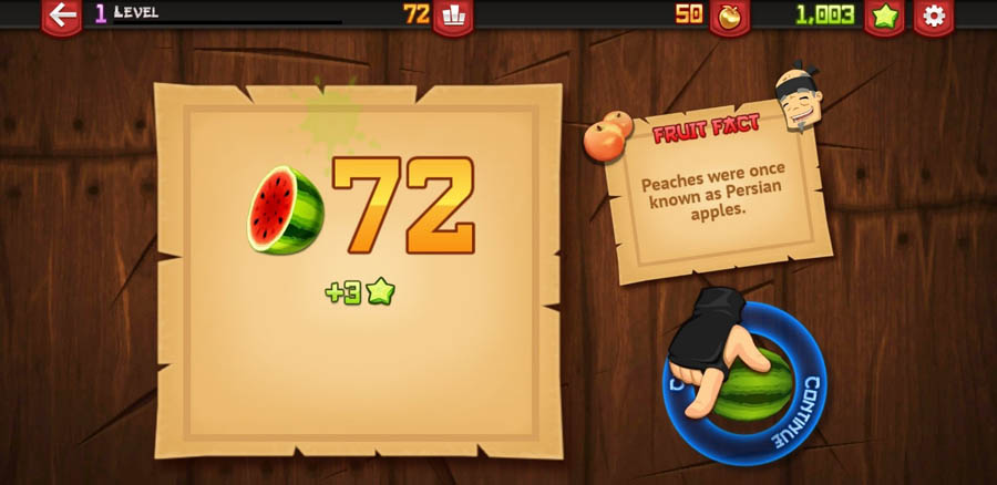 A picture of Fruit Ninja, one of the best arcade games for Android.