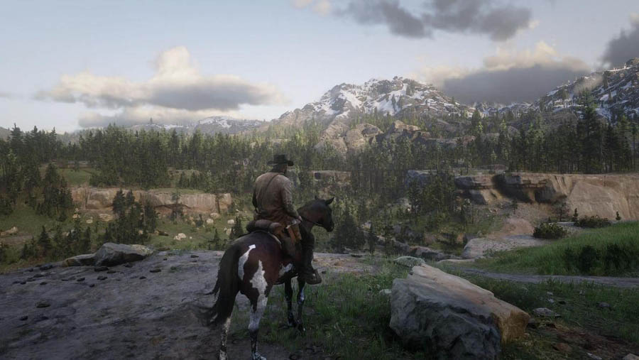 A picture of Red Dead Redemption 2.