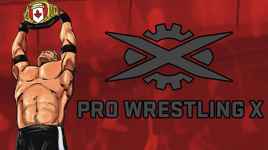 The Official Picture of Pro Wrestling X with its character, One of best wrestling games for ps4.