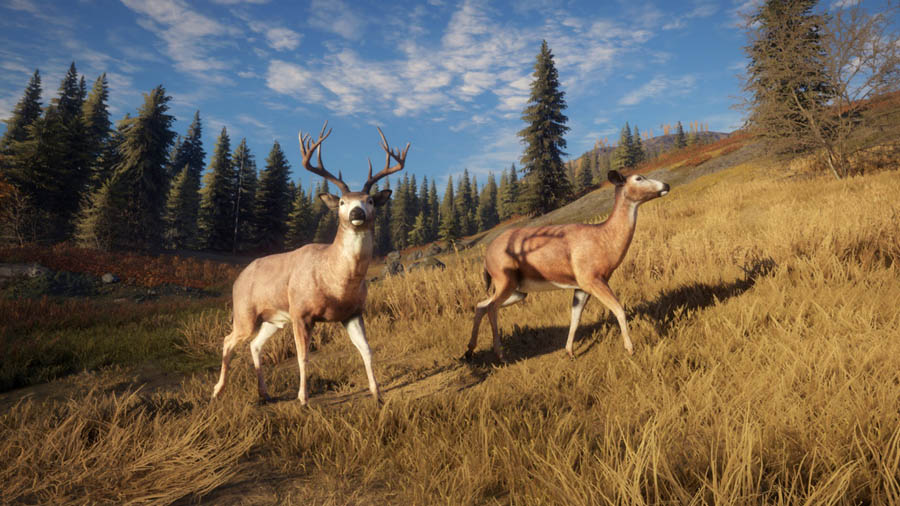 theHunter: Call of the Wild, one of the best hunting games for Mac.