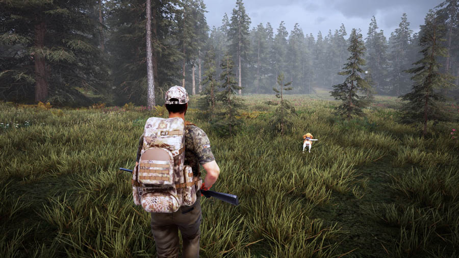 A wallpaper of Hunting Simulator, one of the best hunting games for pc.