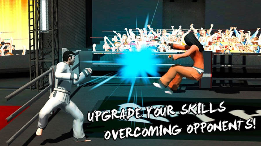 An official wallpaper of Karate Do, one of the best karate games for chromebook.