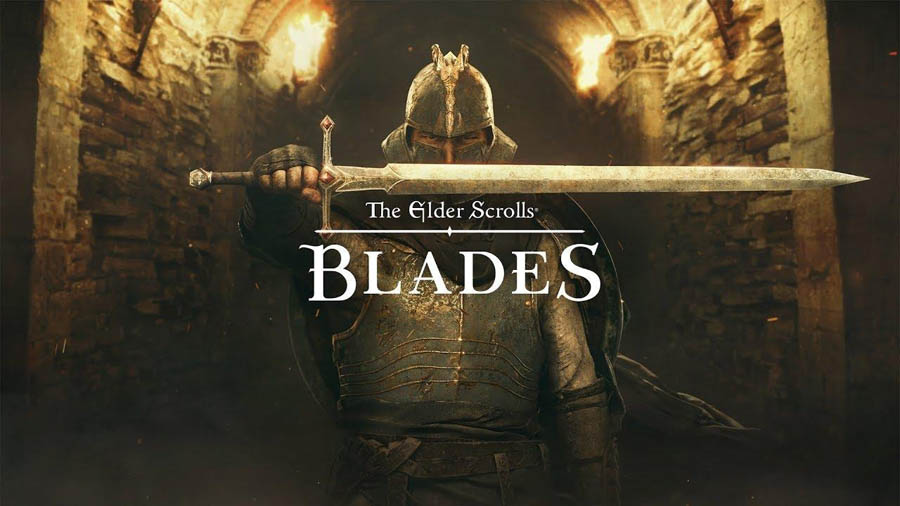 The Official Picture of The Elder Scrolls: Blades with its character, One of best open world games for android.