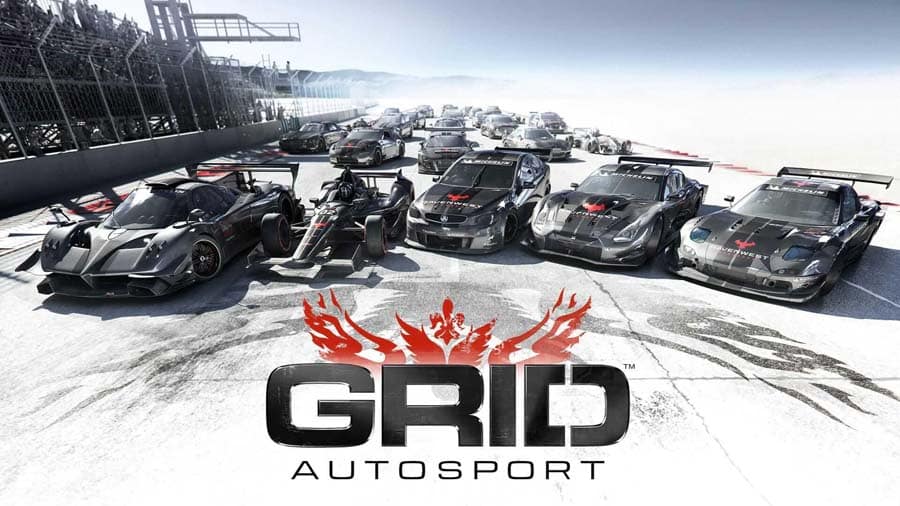 The Official Picture of GRID Autosport.