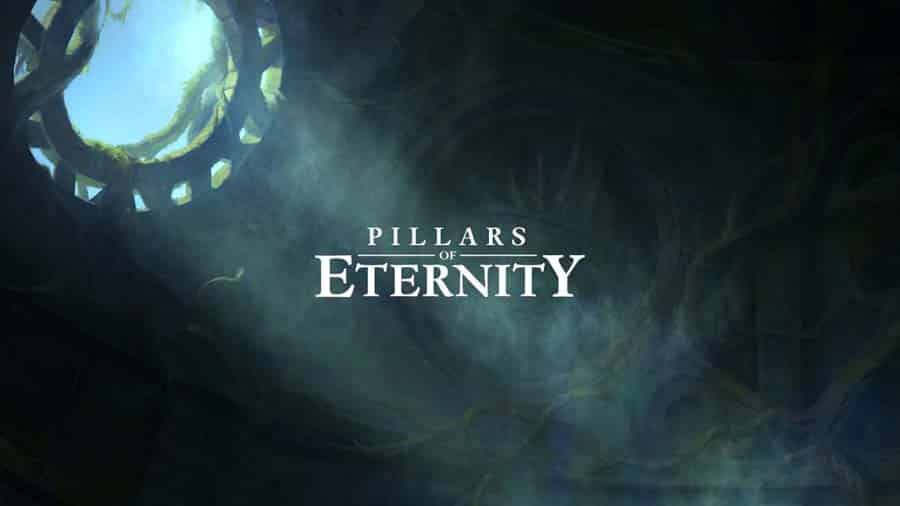 The Official Picture of Pillars of Eternity.