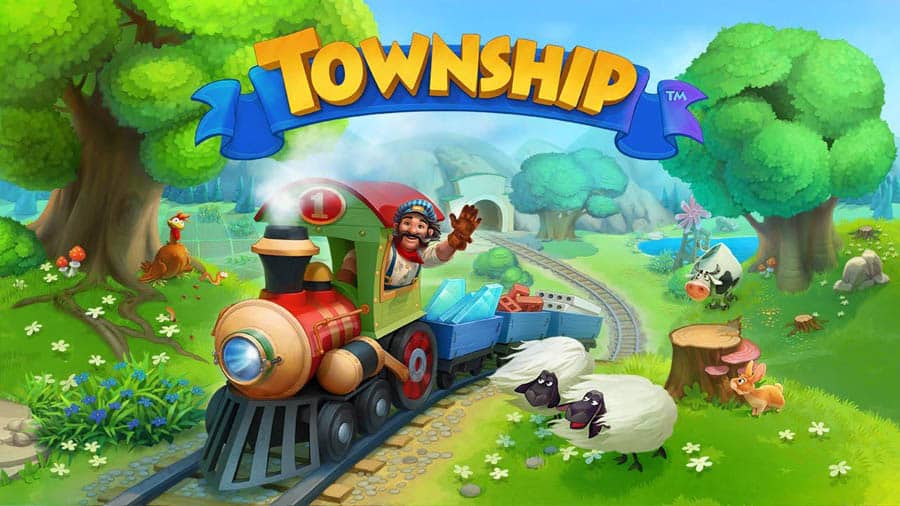 The Official Picture of Township.