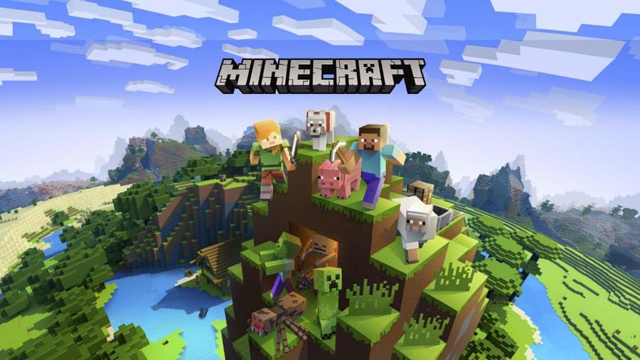 The Official Picture of Minecraft.