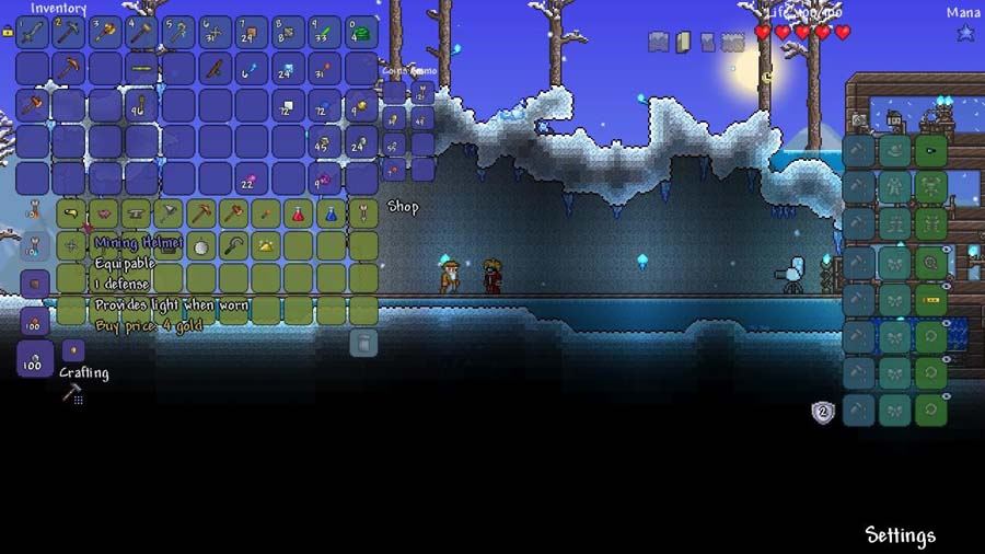 The Official Picture of Terraria.