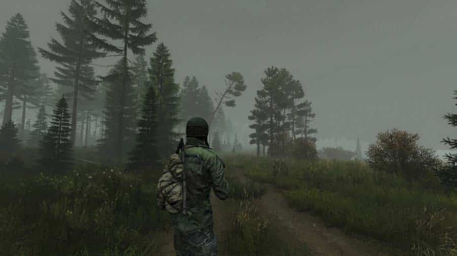 The Official Picture of DayZ.