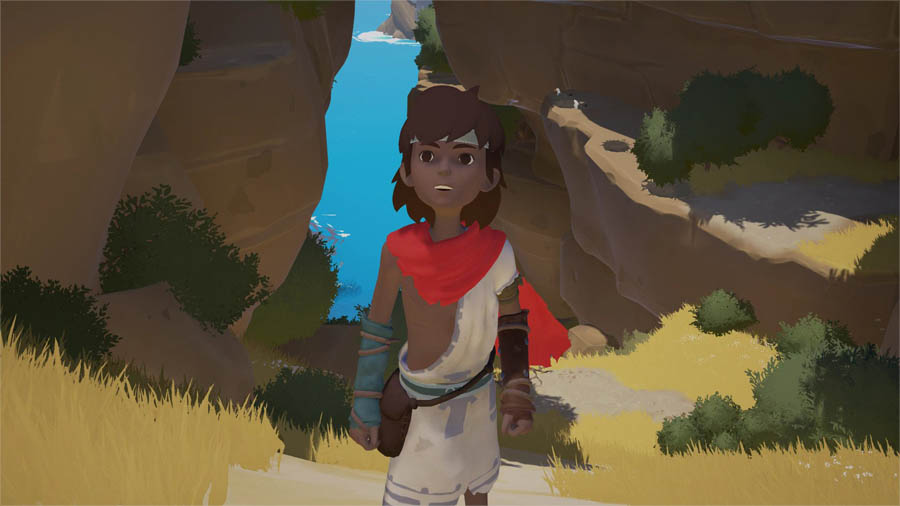 A picture of the game Rime.