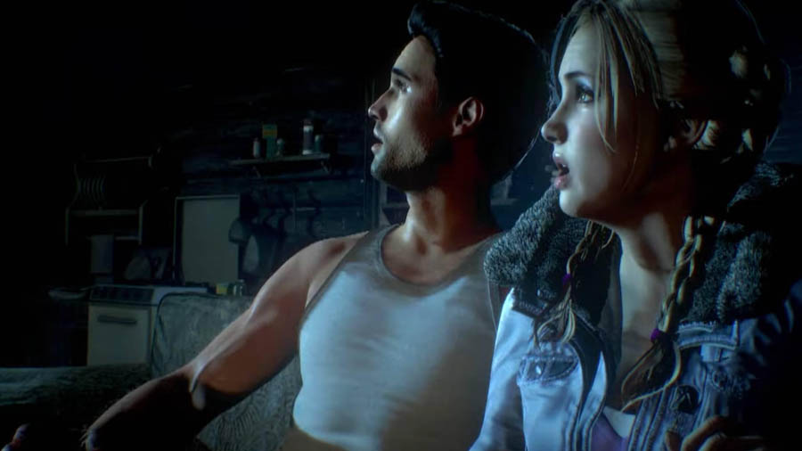 An official picture of Until Dawn.